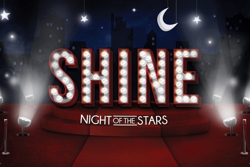 November 7th Annual Night of the Stars Gala at Music Hall